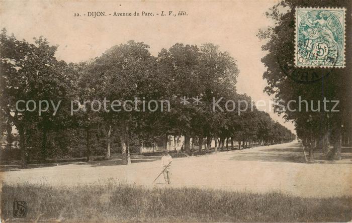 Dijon 21 Cote-d Or Avenue du Parc