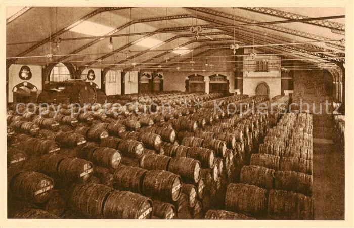 Reims 51 Un cellier rempli de vins nouveaux