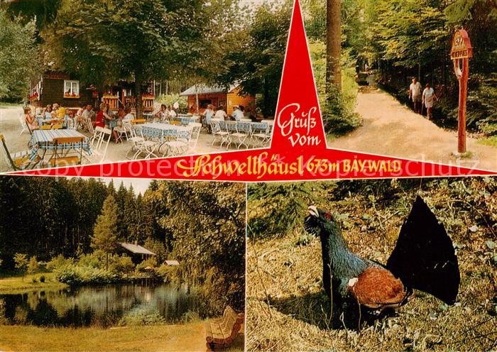 Zwieselerwaldhaus Ausflugsgaststaette Cafe Schwellhaeusl Terrasse Waldweg Weiher