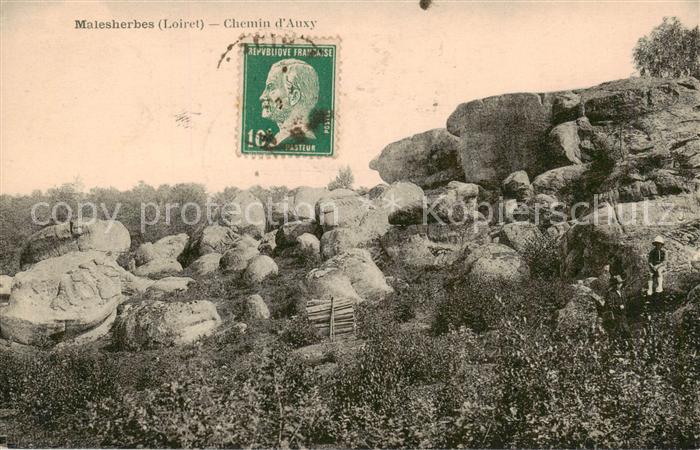 Malesherbes 45 Loiret Chemin d Auxy