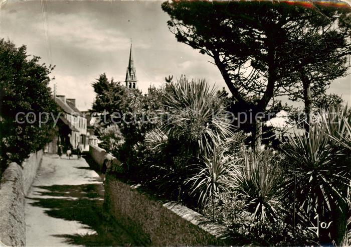 Ile-de-Batz 29 Finistere Les jardins longeant la rue principale du bourg