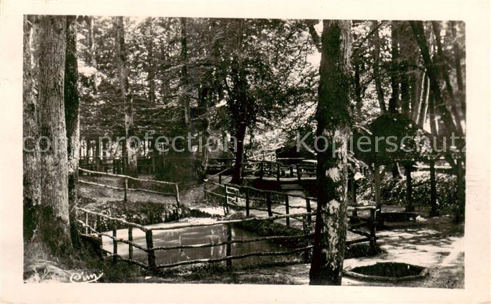 Berce Foret de Jupilles 72 Sarthe Foret de Berce Sources de l Hermitiere