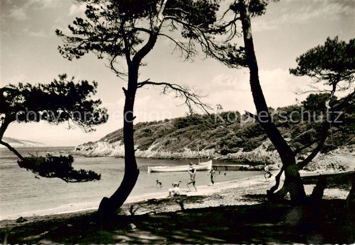 Ile de Port-Cros 83 Var La Plage du Sud