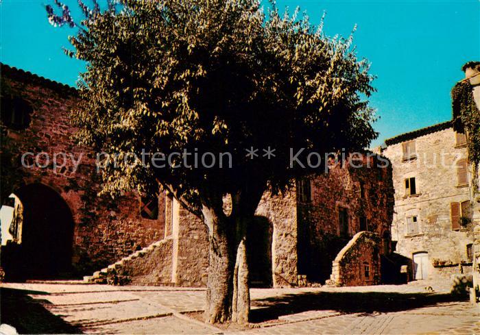 Parages Les Arcs-sur-Argens 83 Var Place des Micoucouliers