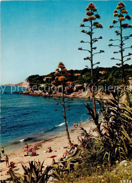 Sanary-sur-Mer 83 Un coin de la Plage de Port Issol et la pointe de la Cride