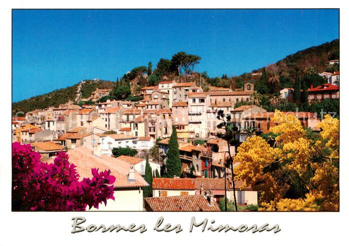 Bormes-les-Mimosas 83 Var Vue d ensemble