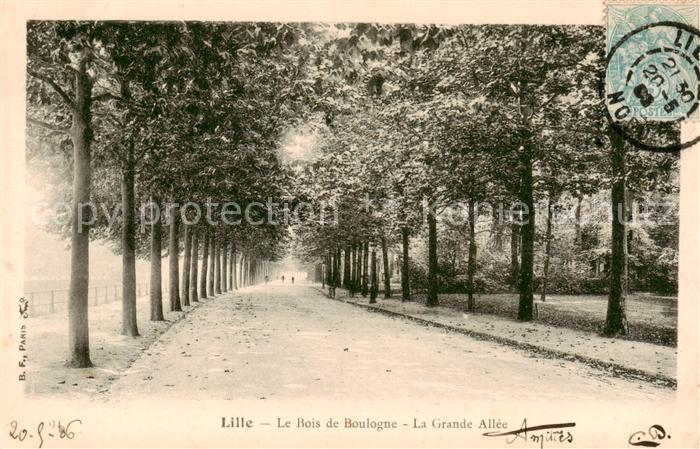 Lille 59 Le Bois de Boulogne La Grande Allee