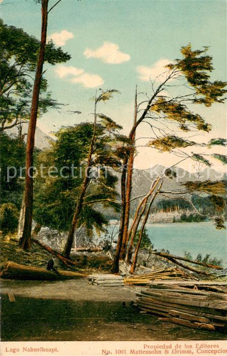 Lago Nahuel Huapi Panorama