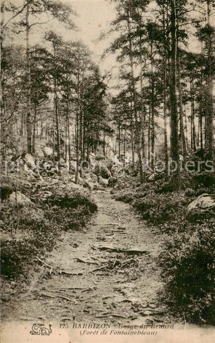 Fontainebleau 77 Seine et Marne Barbizon Gorge du Renard Foret de Fontainebleau