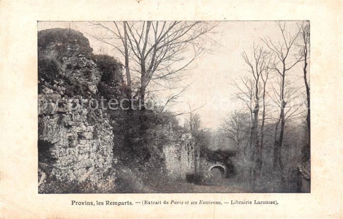 Provins 77 Le Remparts