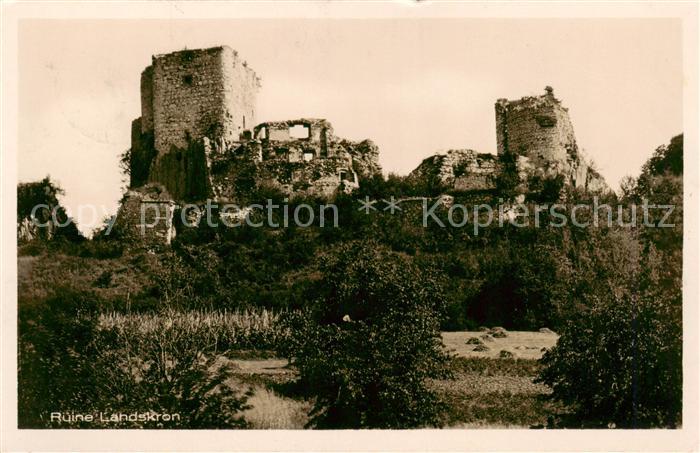 Ruine Landskron Motiv