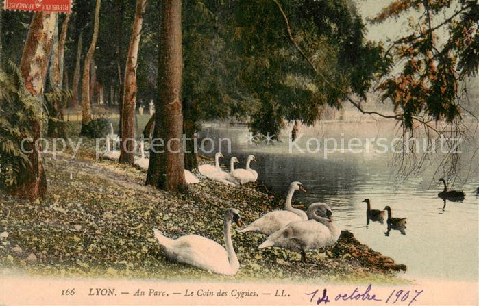 Lyon France Au Parc Le Coin des Cybnes