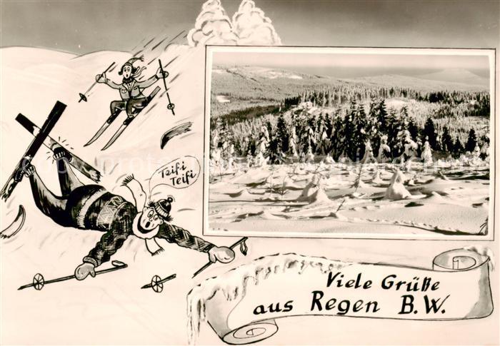 Regen Winterpanorama