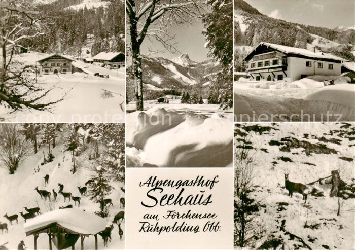 Ruhpolding Bayern Alpengasthof Seehaus am Foerchensee Winteridylle Wildfuetterun