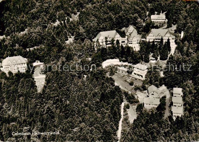 Calmbach Enz Fliegeraufnahme