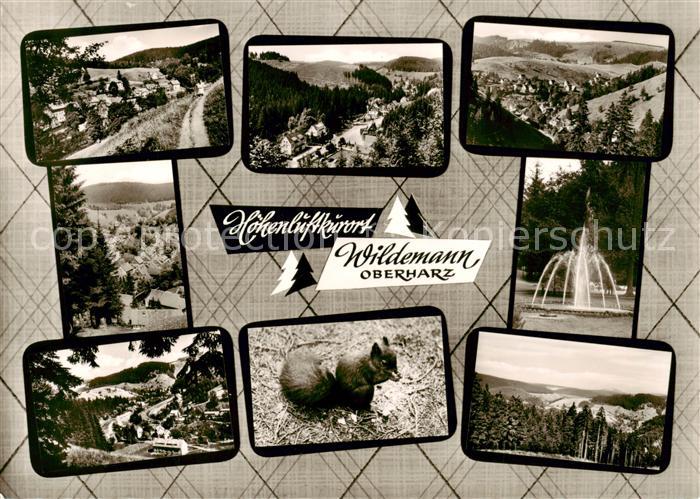 Wildemann Harz Panorama Teilansichten
