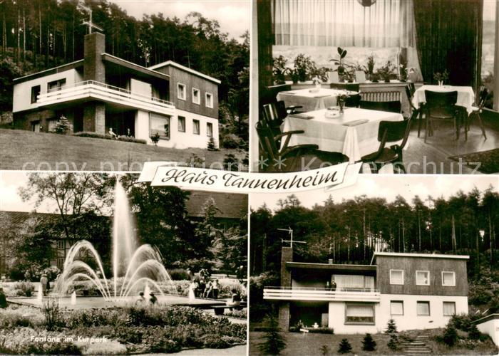 Bad Driburg Haus Tannenheim Gaststube Fontaene im Kurpark