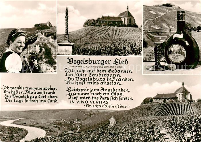 Volkach Vogelsburg an der Mainschleife Panorama Weinberge