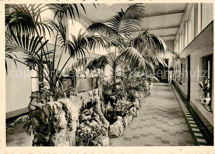 Antwerpen Anvers Wintertuin Jardin d hiver