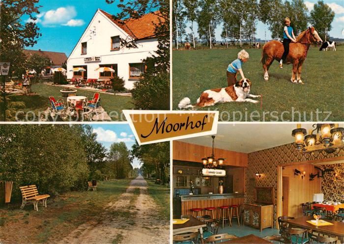 Moorhof Holstein Gasthaus Moorhof Ponyreiten Waldweg Gaststube