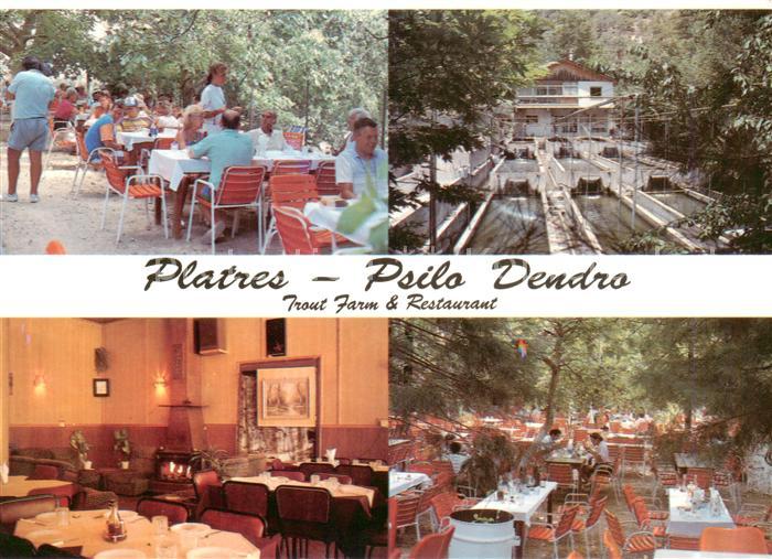 Zypern Cyprus Platres Psilo Dendro Trout Farm and Restaurant