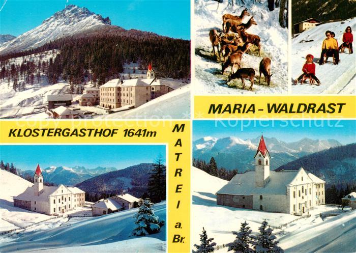 Maria Waldrast AT Klostergasthof Kloster Wildfuetterung Schlittenpartie