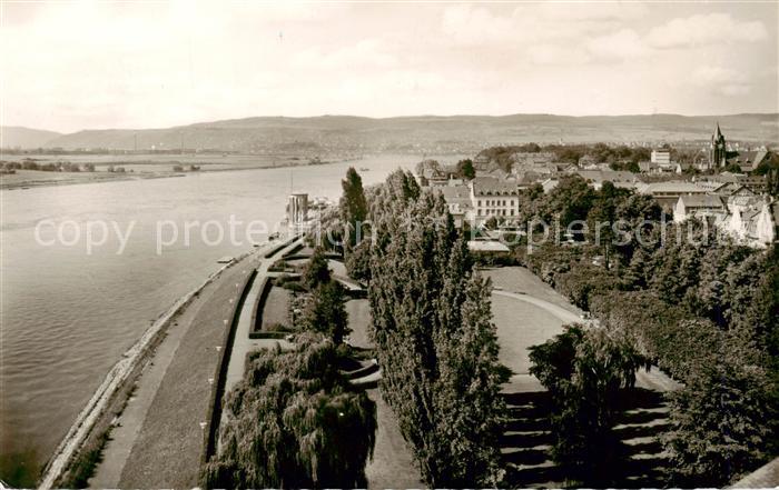 Neuwied Rhein Goethe Anlagen