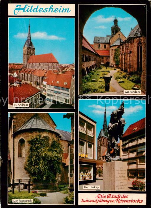 HILDESHEIM  CITY St Andreas Kirche Mariendom Der Rosenstock Der Huckup