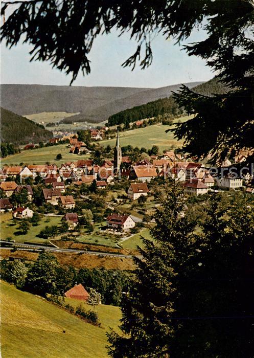 Baiersbronn Schwarzwald Panorama