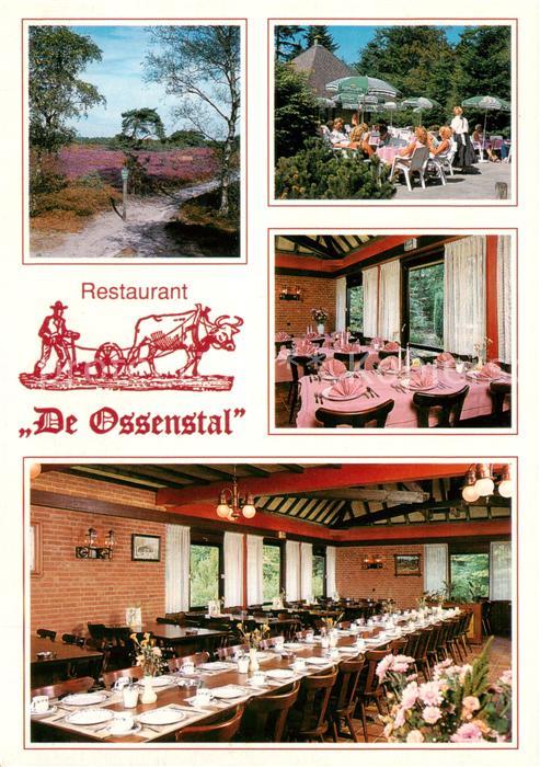 Epe-Wissel Gelderland NL Restaurant De Ossenstal Gastraeume Terrasse