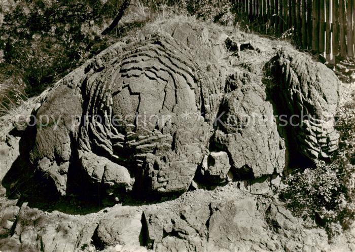 Schleiz Steinrose bei Graefenwarth