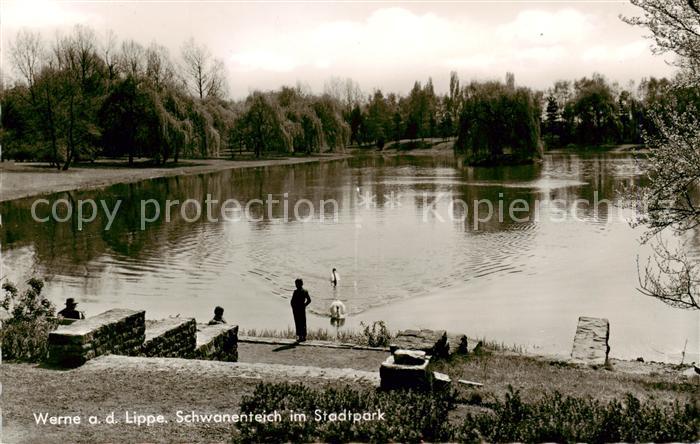 Werne  Lippe Muenster Westfalen Schwanenteichim Stadtpark