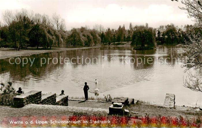 Werne  Lippe Muenster Westfalen Schwanenteich im Stadtpark