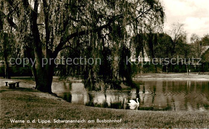Werne  Lippe Muenster Westfalen Schwanenteich am Busbahnhof