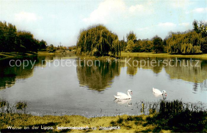 Werne  Lippe Muenster Westfalen Schwanenteich am Stadtpark