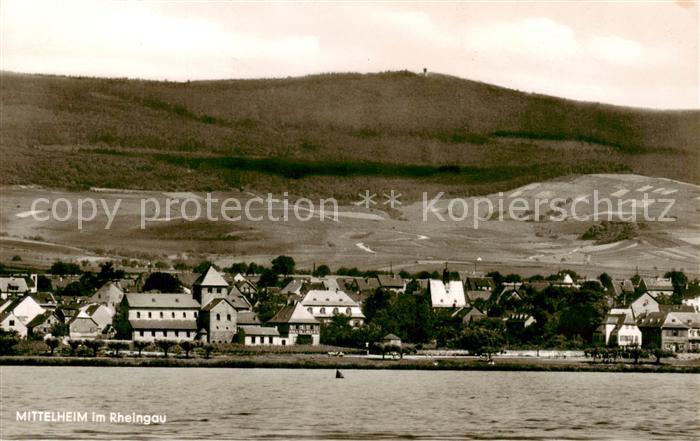 Mittelheim Rheingau Blick ueber den Rhein