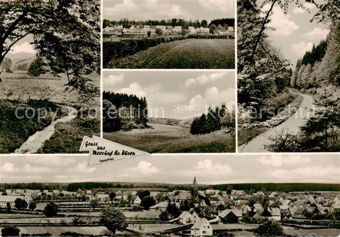 Moorhof Holstein Panorama Teilansichten