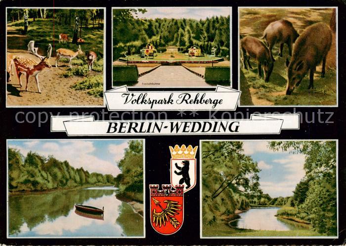 Wedding Volkspark Rehberge Damhirsche Wildschweine Parkpartien