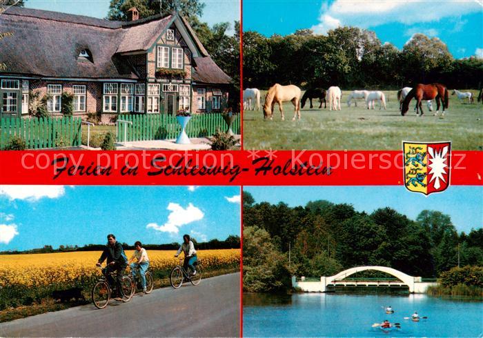 Schleswig Holstein Wohnhaus Pferdekoppel Radfahren Bruecke
