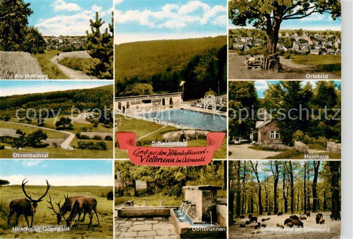 Vielbrunn Am Hohlweg Ohrenbachtal Hirsche Schwimmbad Dorfbrunnen Ortsbild Hainha