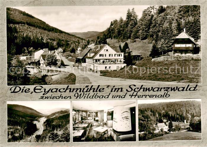 Wildbad Schwarzwald Gasthaus Pension Eyachmuehle Gastraum Panorama