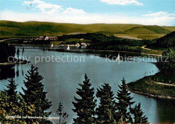 Meschede Henne See Panorama