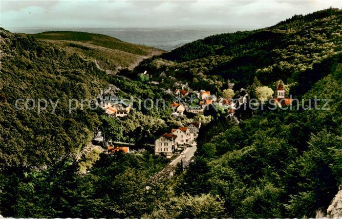 Schlangenbad Taunus Partie mit Waldfrieden