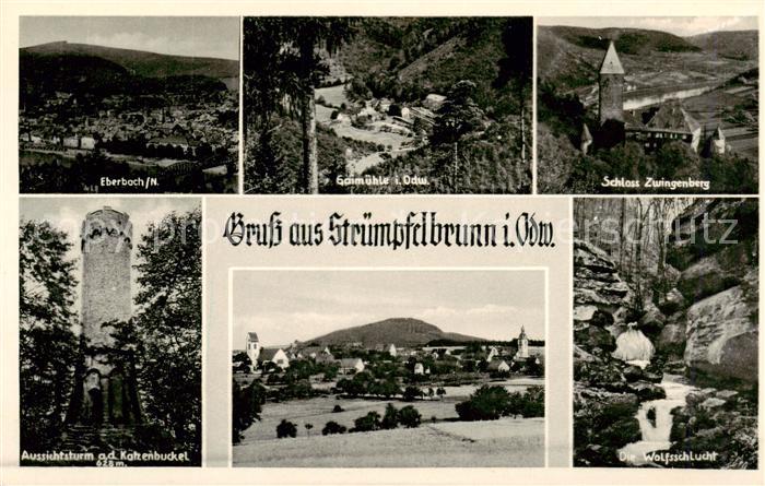 Struempfelbrunn Eberbach Gaimuehle Schloss Zwingenberg Aussichtsturm Panorama Wo