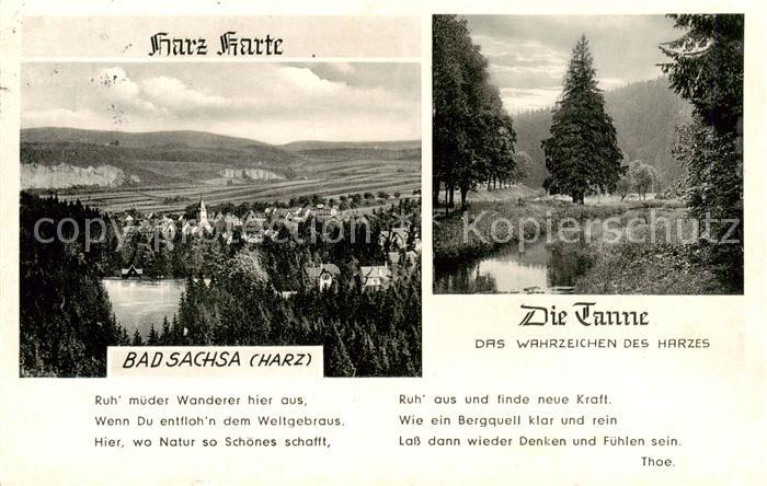 Bad Sachsa Harz Panorama Tanne