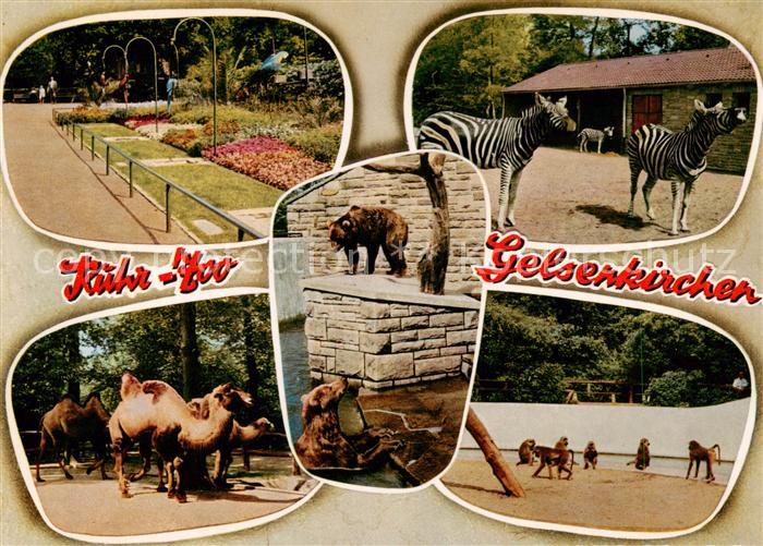 GELSENKIRCHEN NRW Ruhr Zoo Zebras Baerengehege Kamele Affen
