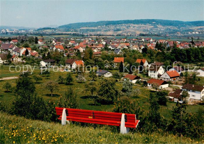 Altenburg Rheinau Baden Panorama