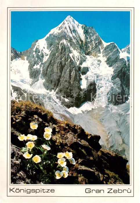 Koenigspitze 3860m Gran Zebru Ortlergruppe Dolomiti IT Ortlergruppe