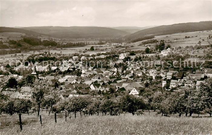 Bad Koenig Odenwald Panorama