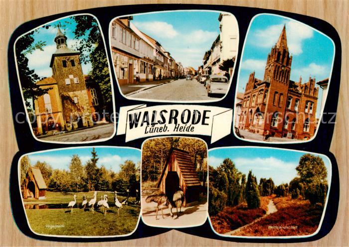 Walsrode Lueneburger Heide Kirche Moorstrasse Rathaus Vogelpark Heidelandschaft